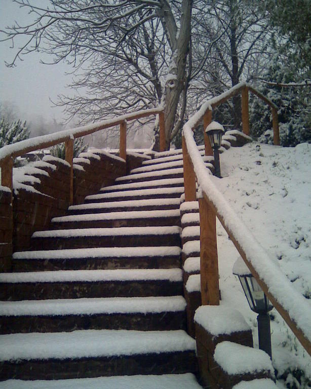 Le Spighe Agriturismo Cesena Exterior photo