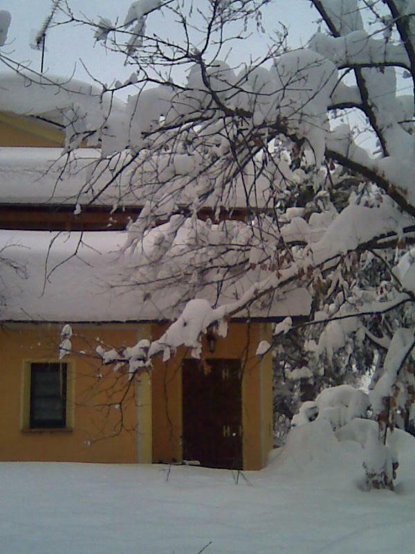 Le Spighe Agriturismo Cesena Exterior photo